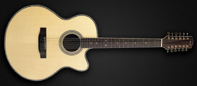 Carvin 12 string hotsell
